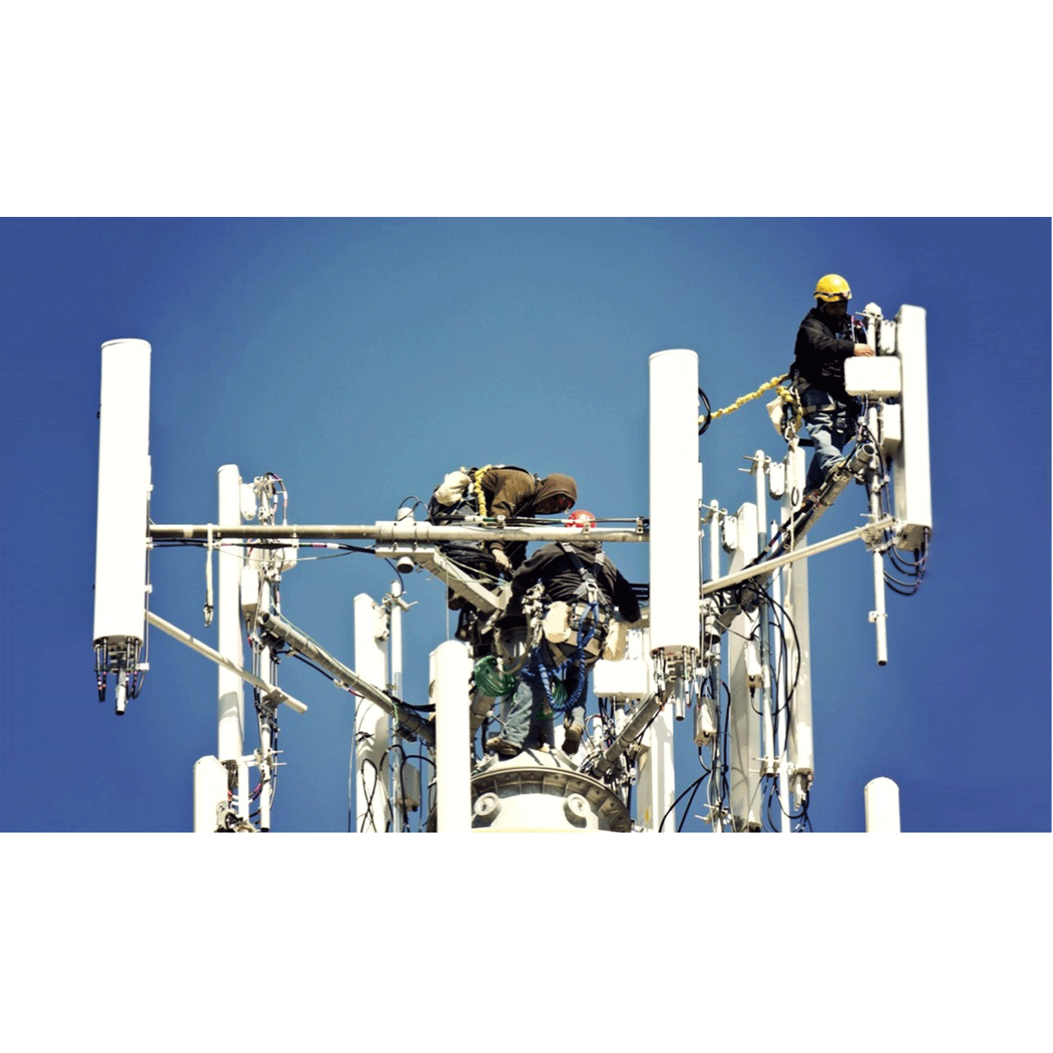 Installation & Development